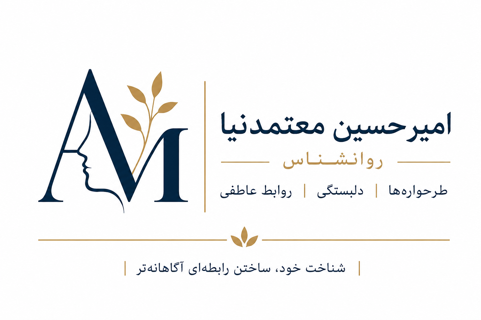 امیرحسین معتمدنیا